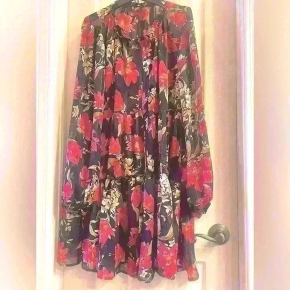 Pretty, sheer floral dress. Beautiful colors. Never worn. Size Large - Picture 1 of 6